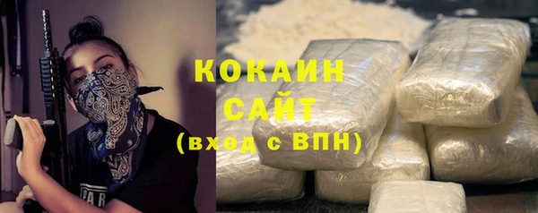ешки Арсеньев