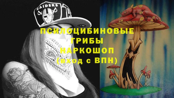 a pvp Армянск