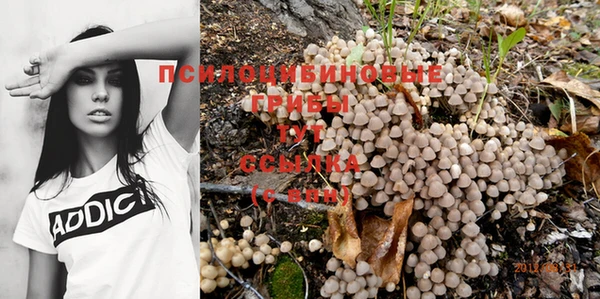 ешки Арсеньев