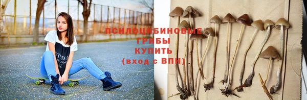 ешки Арсеньев