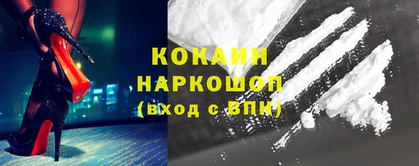 ешки Арсеньев